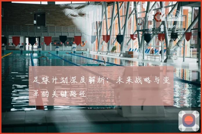 足球计划深度解析：未来战略与变革的关键路径